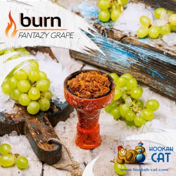 Заказать кальянный табак Burn Fantazy Grape (Берн Виноград) 25г онлайн с доставкой всей России